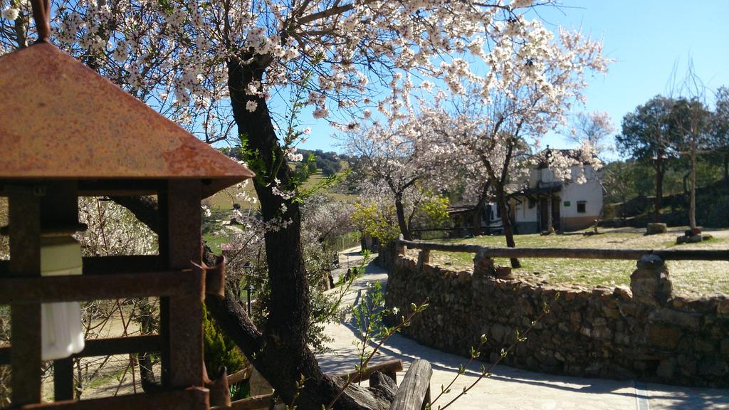 Гостевой дом Valdolazaro Лос-Навалусильос Экстерьер фото